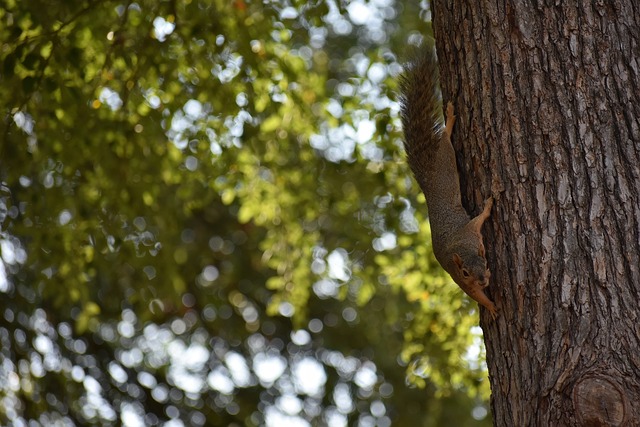 乌尔比希：能与诺伊尔、乌尔赖希一起训练很重要，他们很优秀